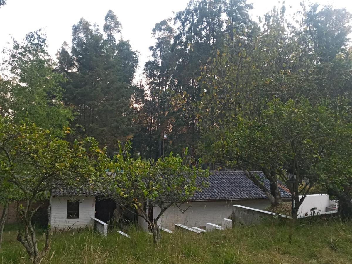 Quinta Los Eucaliptos Villa Quito Kültér fotó